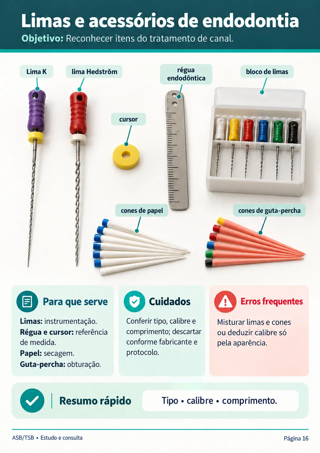 Limas y accesorios de endodoncia